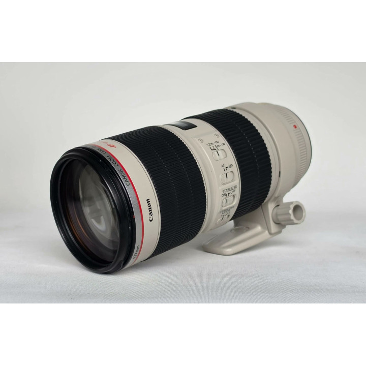 Canon EF 70-200mm f/2.8L IS II USM