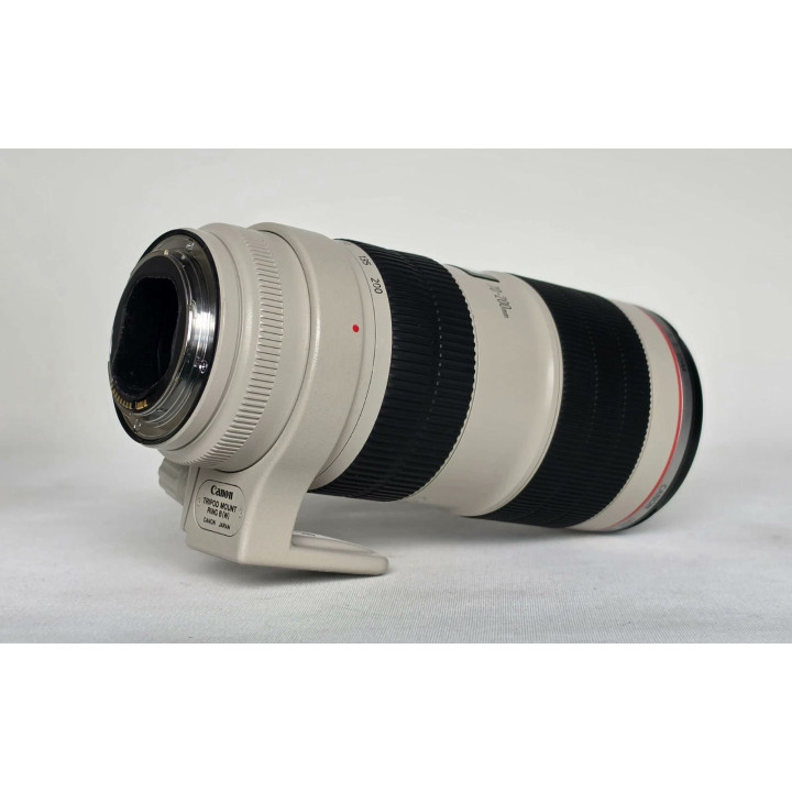 Canon EF 70-200mm f/2.8L IS II USM